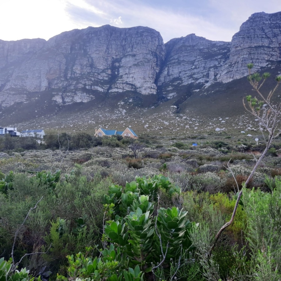 Commercial Property for Sale in Bettys Bay Western Cape